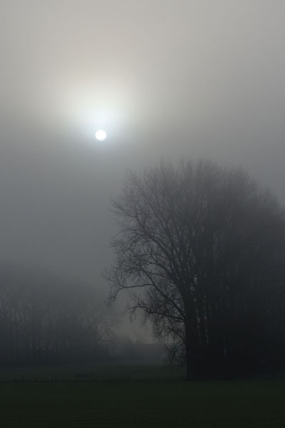 Paysages dans la brume -  6