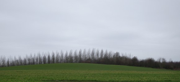 Ronde des rois VTT - Roubaix 2016 47