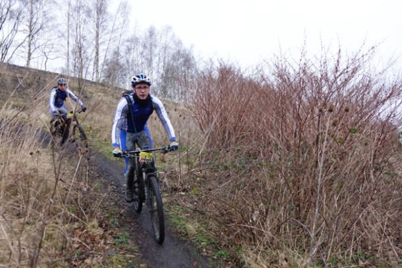 Renards des sables - Flines des Raches 2016 49