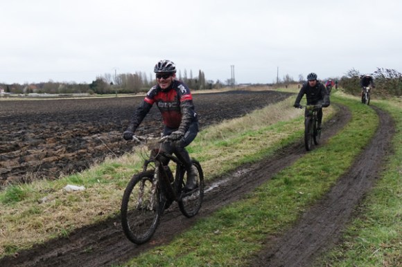 Renards des sables - Flines des Raches 2016 136