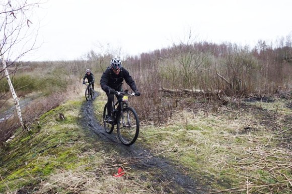 Renards des sables - Flines des Raches 2016 22