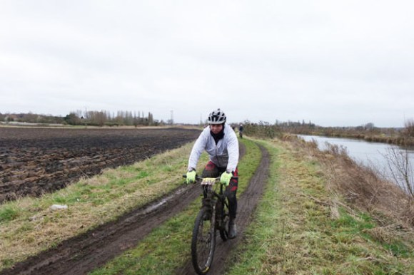 Renards des sables - Flines des Raches 2016 146