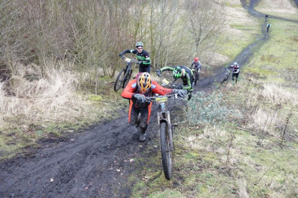 Renards des sables - Flines des Raches 2016 81