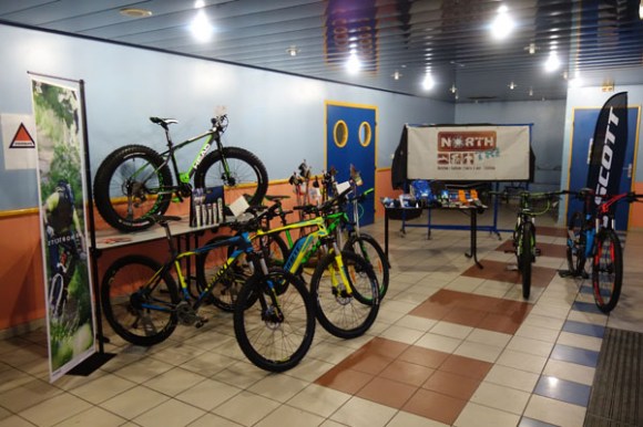 Renards des sables - Flines des Raches 2016 12