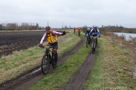 Renards des sables - Flines des Raches 2016 126