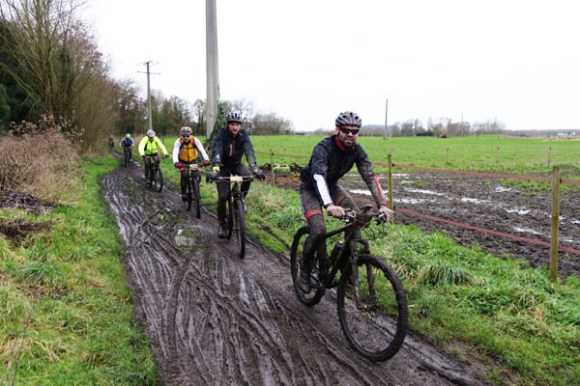 Renards des sables - Flines des Raches 2016 116