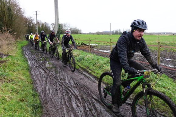 Renards des sables - Flines des Raches 2016 115
