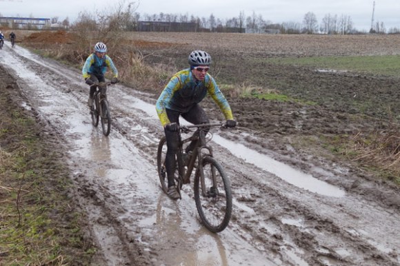 Renards des sables - Flines des Raches 2016 58