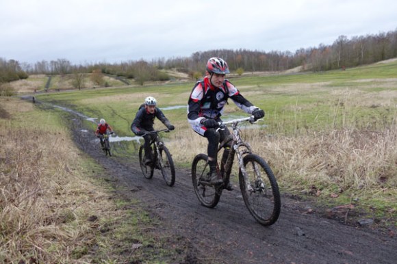 Renards des sables - Flines des Raches 2016 64
