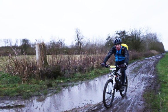 Renards des sables - Flines des Raches 2016 18