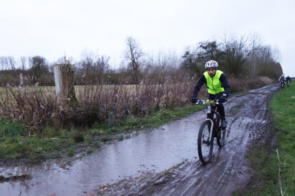 Renards des sables - Flines des Raches 2016 16