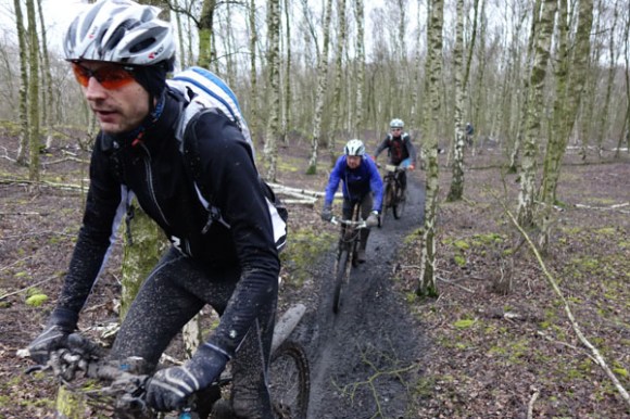 Renards des sables - Flines des Raches 2016 160