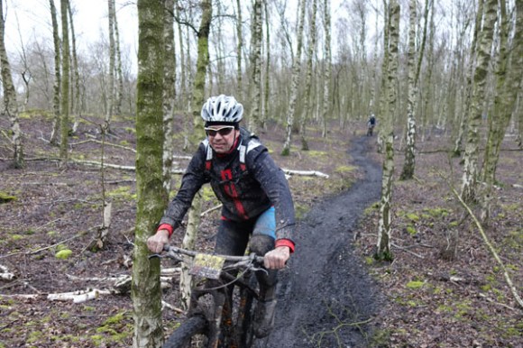 Renards des sables - Flines des Raches 2016 162
