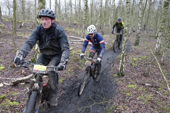 Renards des sables - Flines des Raches 2016 152