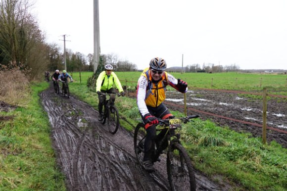 Renards des sables - Flines des Raches 2016 118