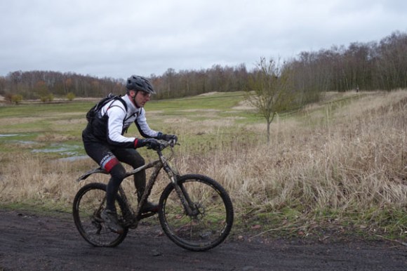 Renards des sables - Flines des Raches 2016 73