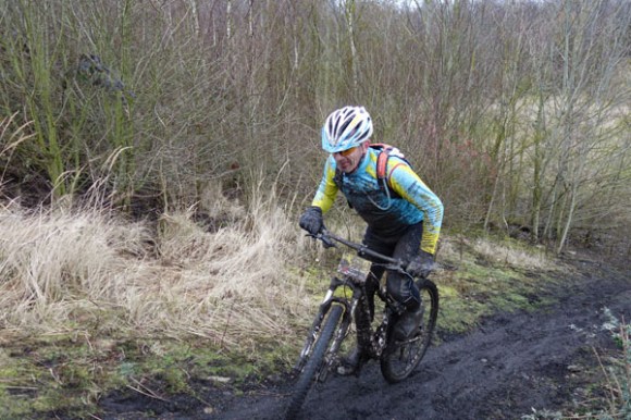 Renards des sables - Flines des Raches 2016 85