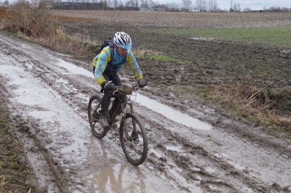 Renards des sables - Flines des Raches 2016 60
