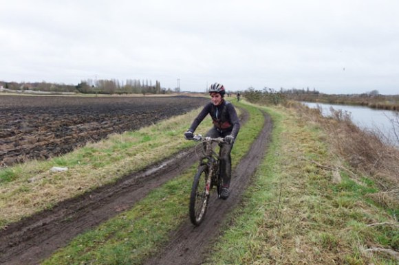 Renards des sables - Flines des Raches 2016 149