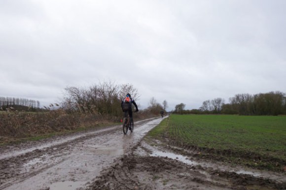 Renards des sables - Flines des Raches 2016 56