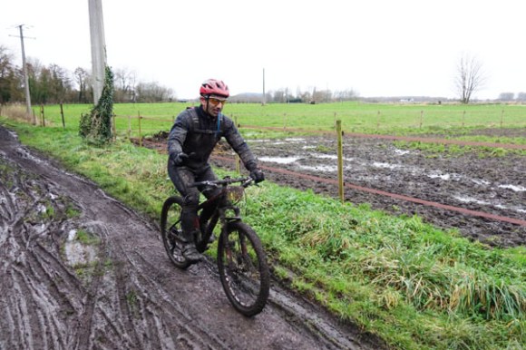 Renards des sables - Flines des Raches 2016 124