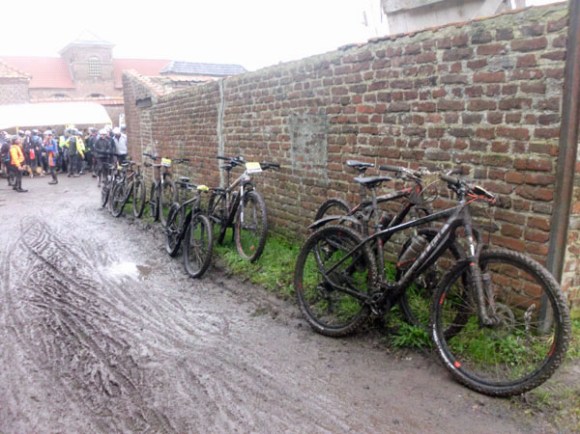 Renards des sables - Flines des Raches 2016 177