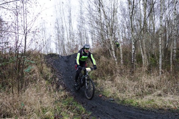 Renards des sables - Flines des Raches 2016 20