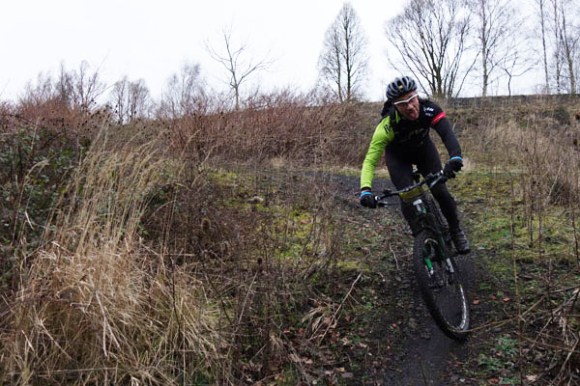 Renards des sables - Flines des Raches 2016 36