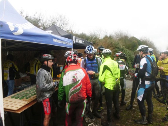 Renards des sables - Flines des Raches 2016 174