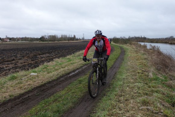 Renards des sables - Flines des Raches 2016 138