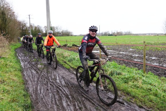 Renards des sables - Flines des Raches 2016 113