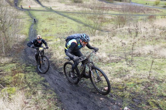 Renards des sables - Flines des Raches 2016 90