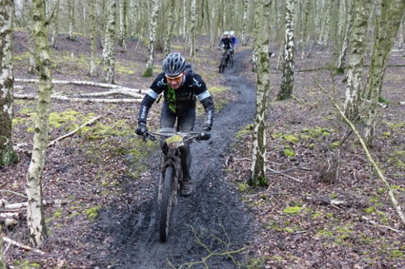 Renards des sables - Flines des Raches 2016 158