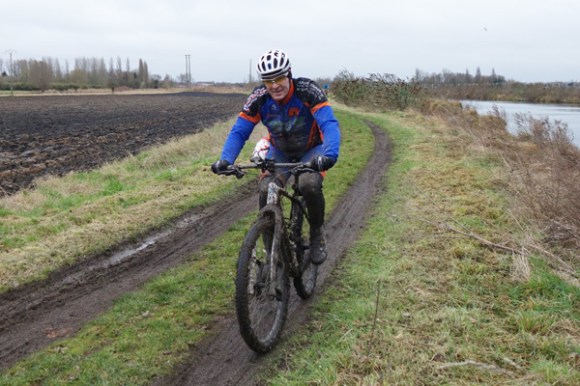 Renards des sables - Flines des Raches 2016 132