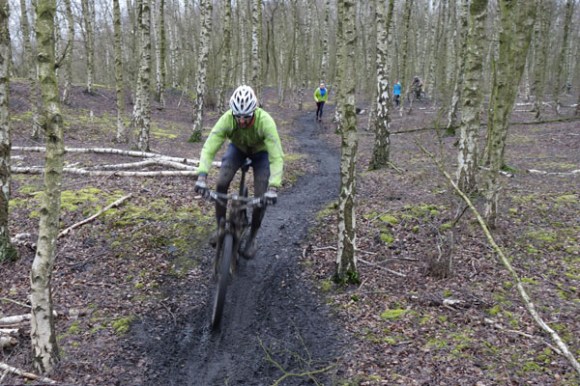 Renards des sables - Flines des Raches 2016 155