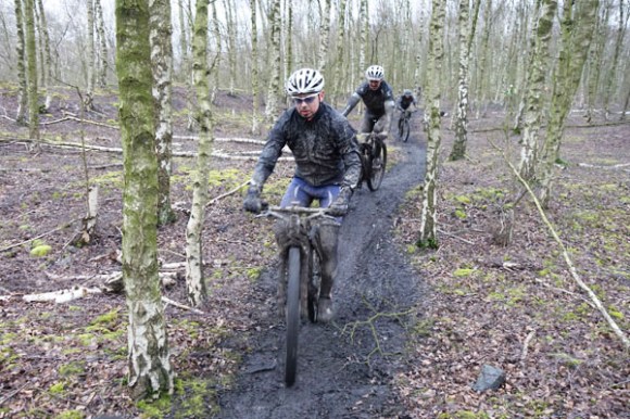 Renards des sables - Flines des Raches 2016 154