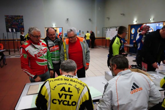 Renards des sables - Flines des Raches 2016 8