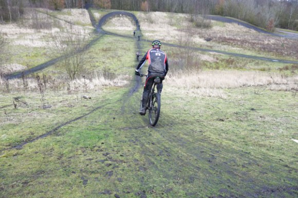 Renards des sables - Flines des Raches 2016 86