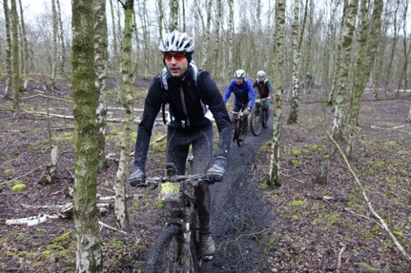 Renards des sables - Flines des Raches 2016 159