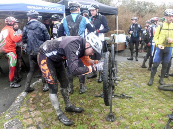 Renards des sables - Flines des Raches 2016 173