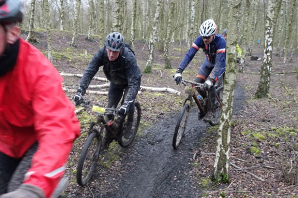 Renards des sables - Flines des Raches 2016 151