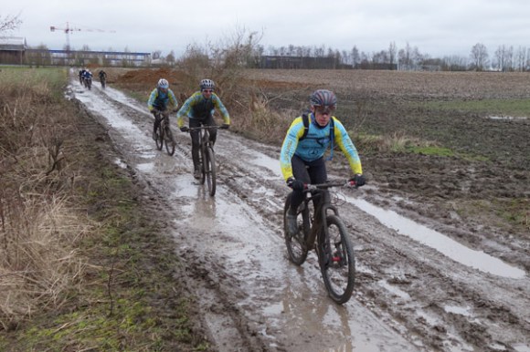 Renards des sables - Flines des Raches 2016 57