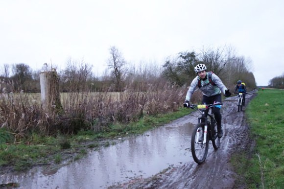 Renards des sables - Flines des Raches 2016 17