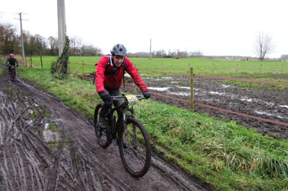 Renards des sables - Flines des Raches 2016 123