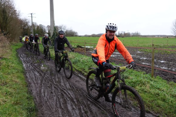 Renards des sables - Flines des Raches 2016 114