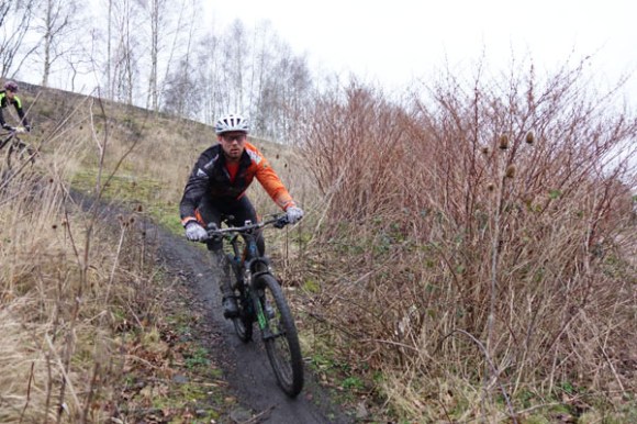 Renards des sables - Flines des Raches 2016 46