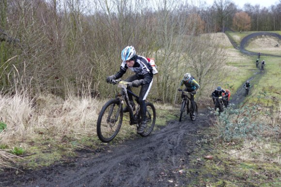 Renards des sables - Flines des Raches 2016 79