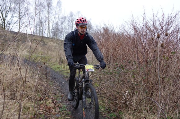 Renards des sables - Flines des Raches 2016 39