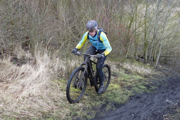 Renards des sables - Flines des Raches 2016 83