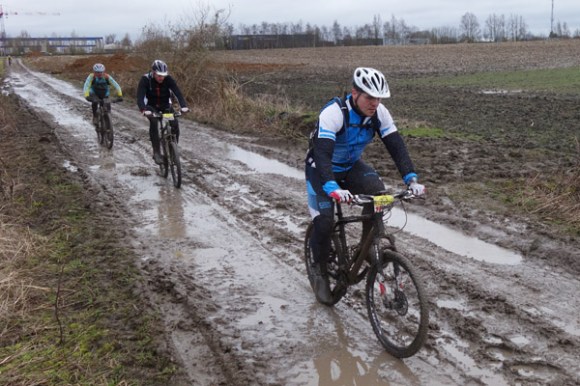 Renards des sables - Flines des Raches 2016 62